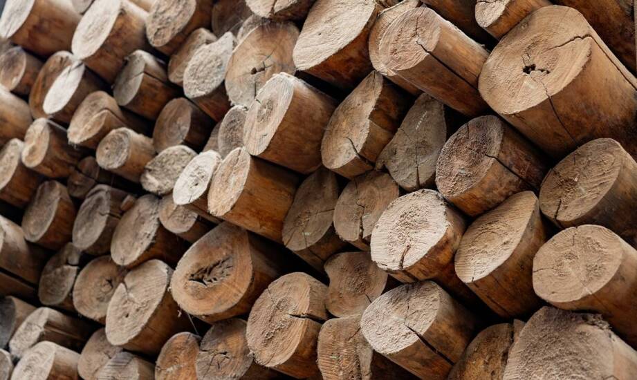 Jak transport drewna kominkowego wpływa na jego jakość i cenę?