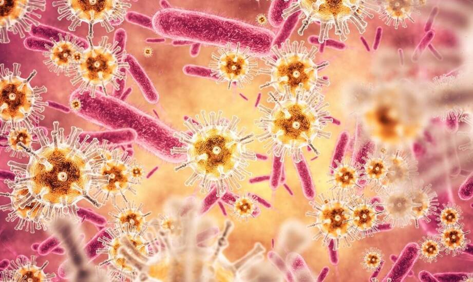 Jak bakteria Clostridium difficile wpływa na zdrowie jelit?