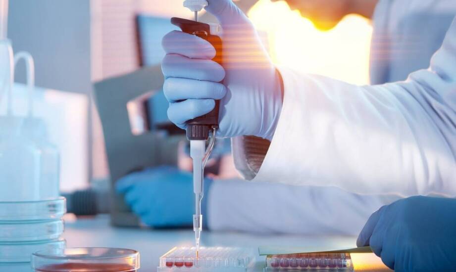 Skuteczność testów na boreliozę – jak wygląda diagnostyka?