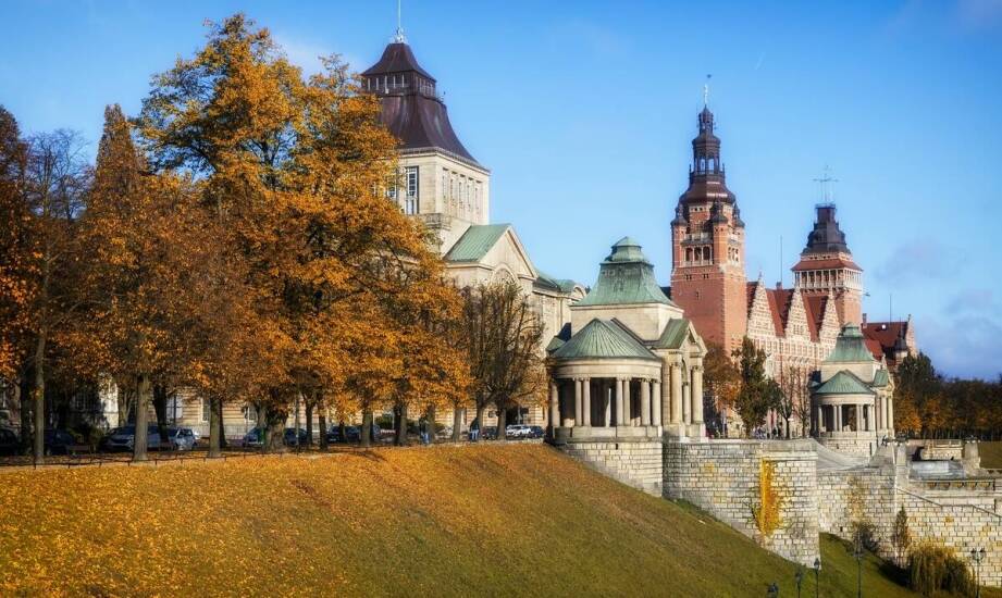Jak studia inżynierskie w Zamościu przygotowują do kariery w sektorze technologicznym?