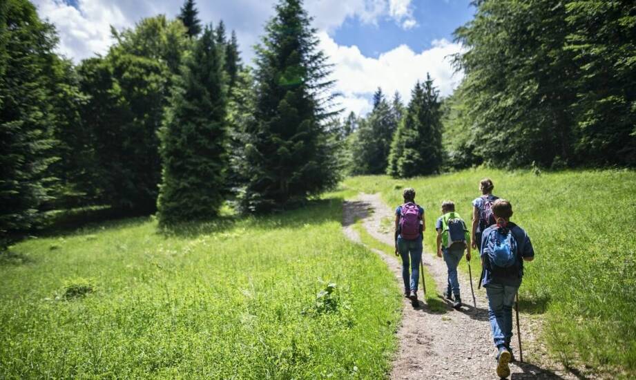 Madera wycieczki: jakie są najważniejsze atrakcje dla fanów aktywnego wypoczynku?