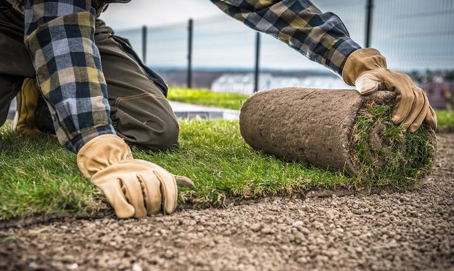 Jakie są najczęstsze pytania klientów dotyczące zakładania trawnika z rolki?