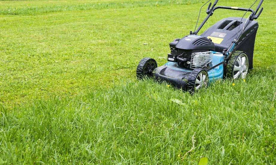Jakie są opinie użytkowników na temat wydajności kosiarek Vari?