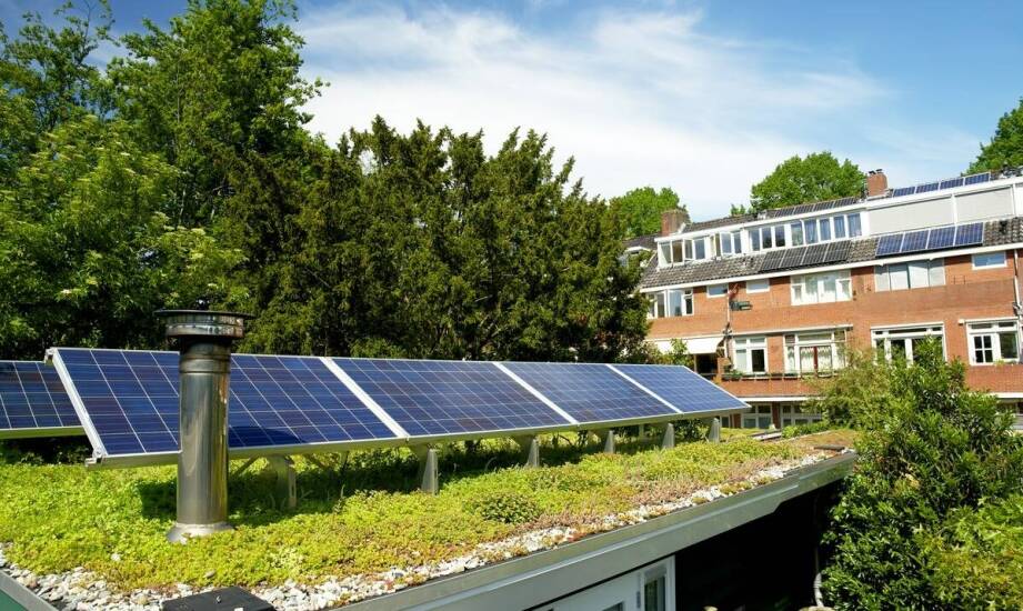 Certyfikat BREEAM a efektywność energetyczna: co warto wiedzieć?