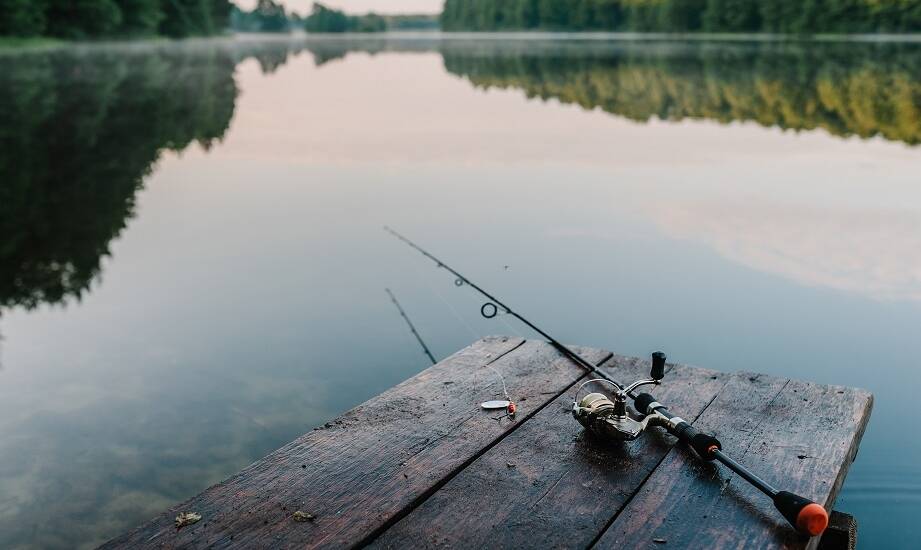 Shimano Technium – idealny wybór dla wędkarzy hobbystów
