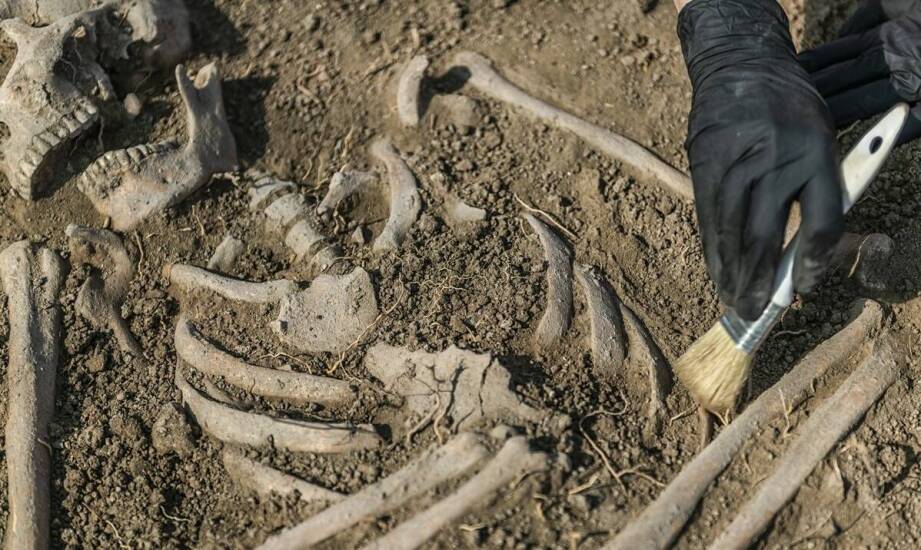 Wpływ profesjonalnego nadzoru archeologicznego na realizację projektu