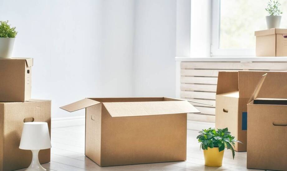 Jakie są kluczowe aspekty organizacji przeprowadzek dla klientów indywidualnych?