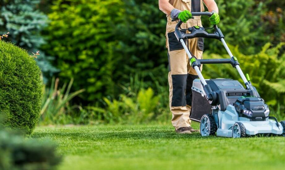 Profesjonalne koszenie trawników – dlaczego jest tak ważne dla zdrowia trawy?