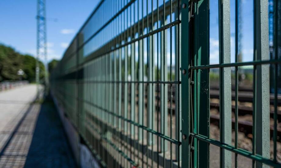 Siatki ogrodzeniowe w zabezpieczaniu wybiegów dla zwierząt – kluczowe zalety