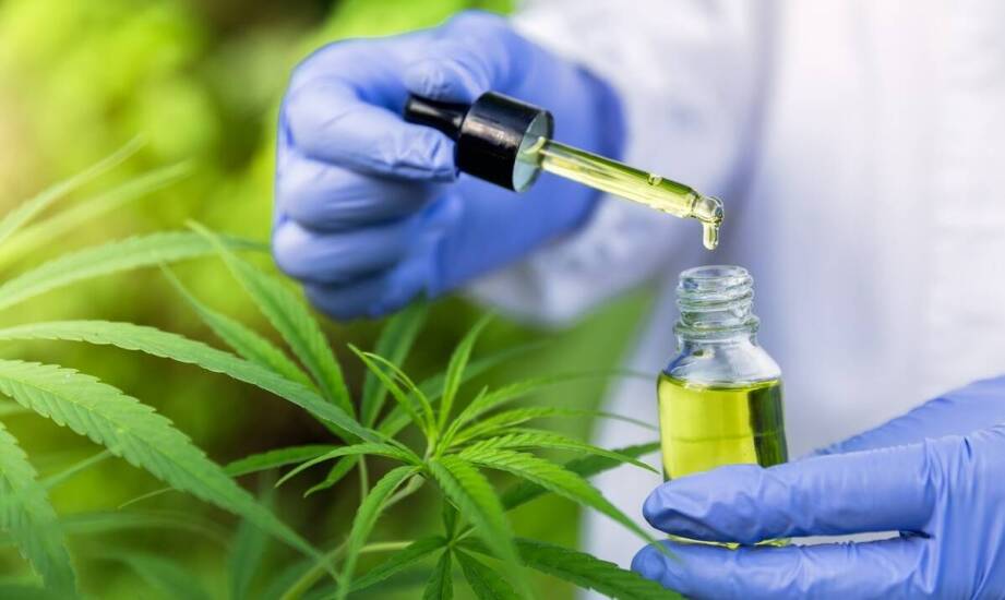 Czy olej CBD 20 może pomóc w łagodzeniu przewlekłego bólu?