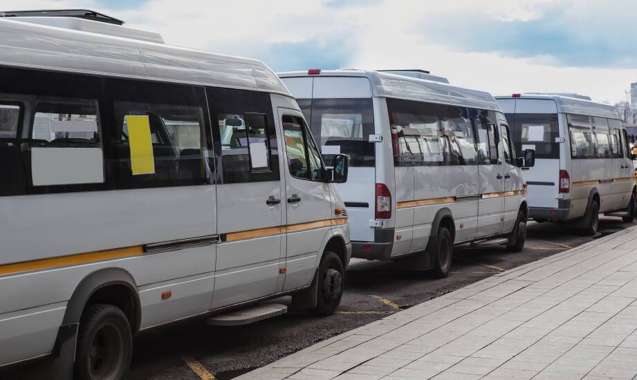 Jakie są zasady dotyczące przewozu zwierząt na trasie Bydgoszcz-Belgia?