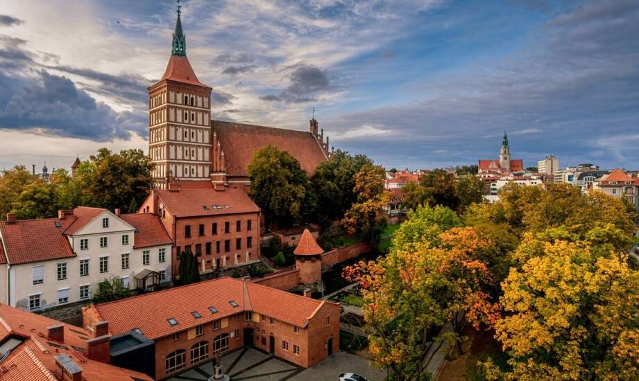 Przewodnicy po Gnieźnie: jak zrozumieć historię i kulturę regionu?