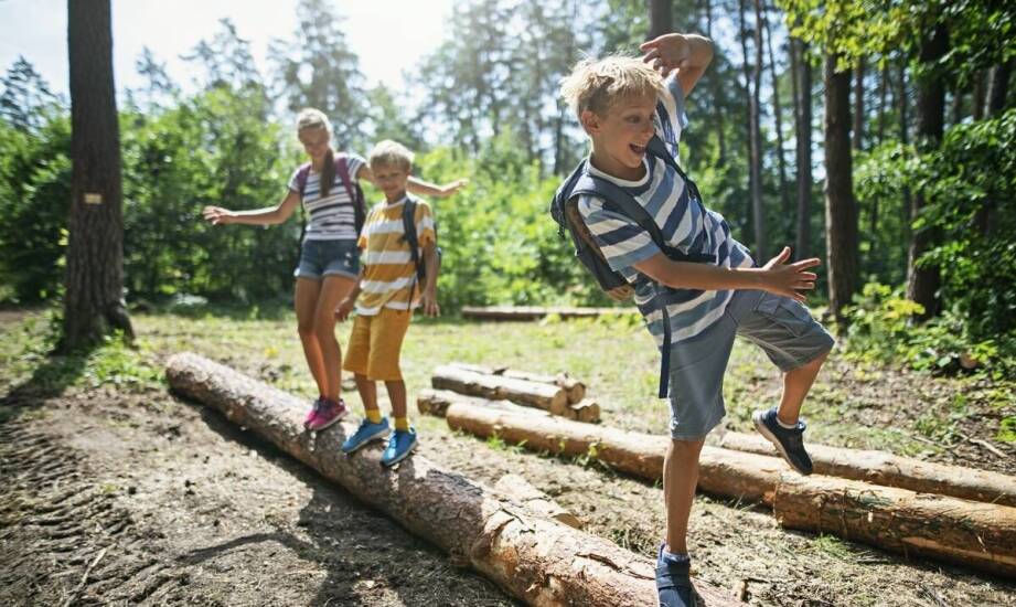 Park linowy i inne atrakcje dla dzieci na koloniach w górach