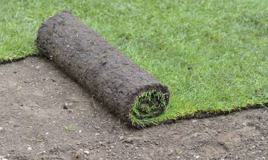 Najnowsze technologie w produkcji trawników rolowanych