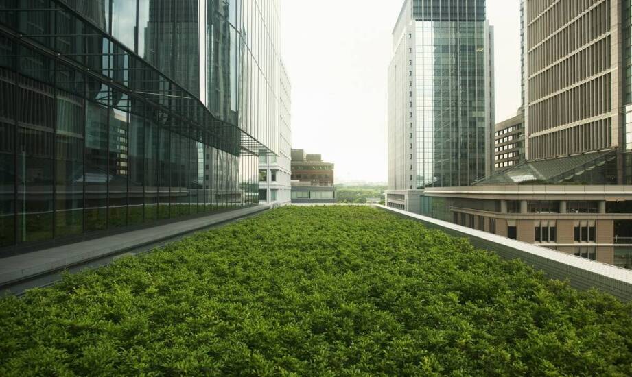 Zielony dach a oszczędność energii: Jak wpływa na rachunki za ogrzewanie?