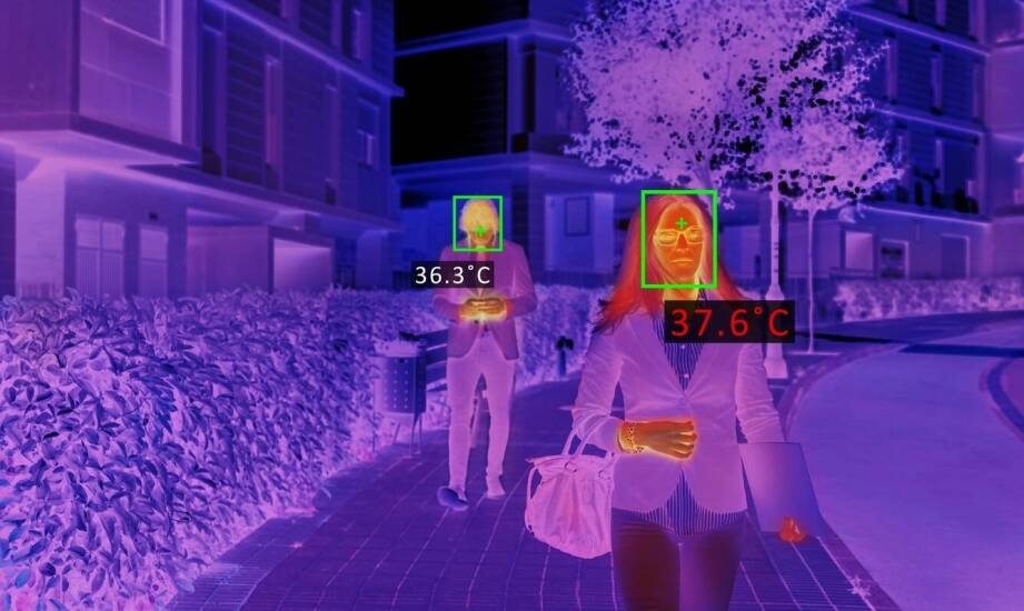 Jak technologia termograficzna może poprawić jakość życia koni?