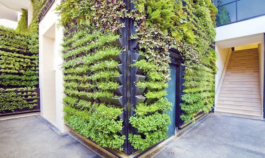 Jak zielone ściany wpływają na efektywność energetyczną budynków?