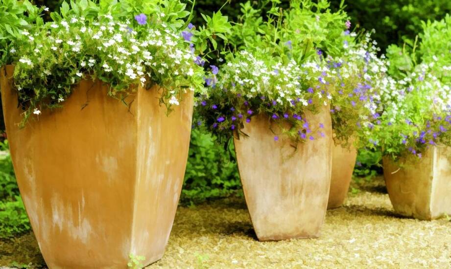 Jakie innowacyjne rozwiązania oferują producenci donic ogrodowych na wymiar?