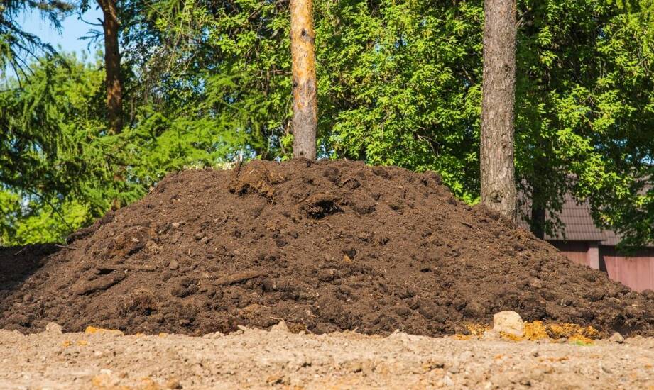 Dlaczego warto stosować wysokiej jakości nawozy organiczne w ogrodzie?