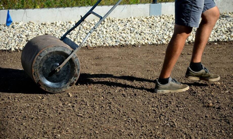 Zakładanie trawników – jakie korzyści przynosi profesjonalna usługa?