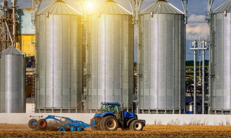 Jakie są korzyści z inwestycji w linie do produkcji pasz granulowanych?