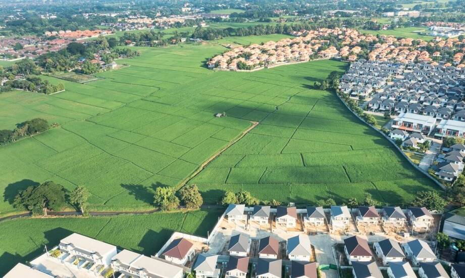 Rzeczoznawca w procesie zakupu nieruchomości rolnej: kluczowe porady