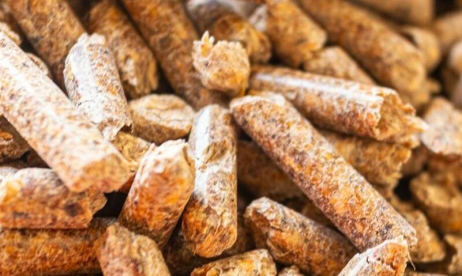 Jak tani pellet wspiera rozwój odnawialnych źródeł energii?