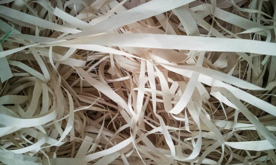 Jakie cechy powinien mieć idealny papier do drukarki fiskalnej?