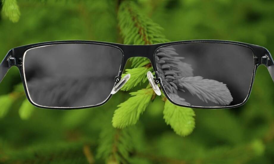 Lornetka wojskowa – kluczowe cechy, które wyróżniają modele na rynku