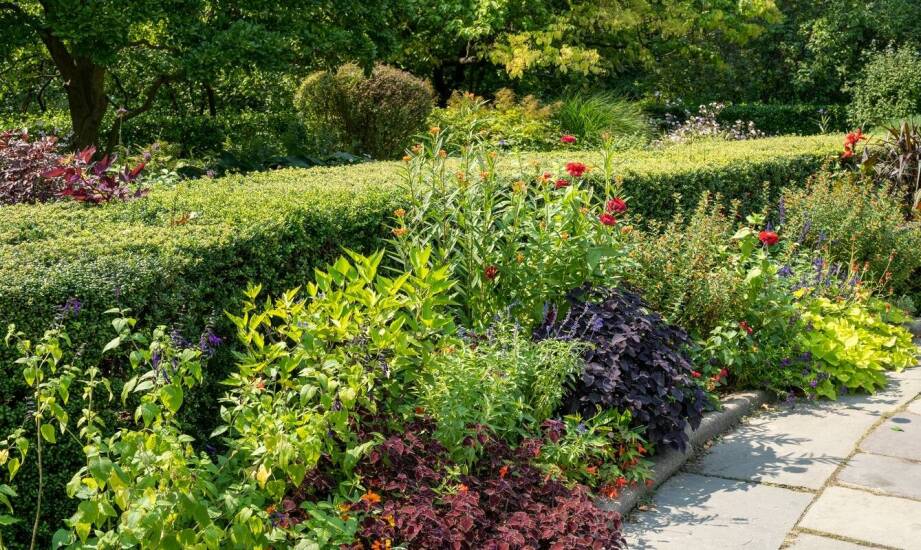 Jak stworzyć zrównoważony projekt zieleni przed domem?