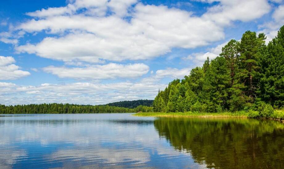 Sauna nad jeziorem Wdzydze – idealne miejsce na relaks po aktywnościach