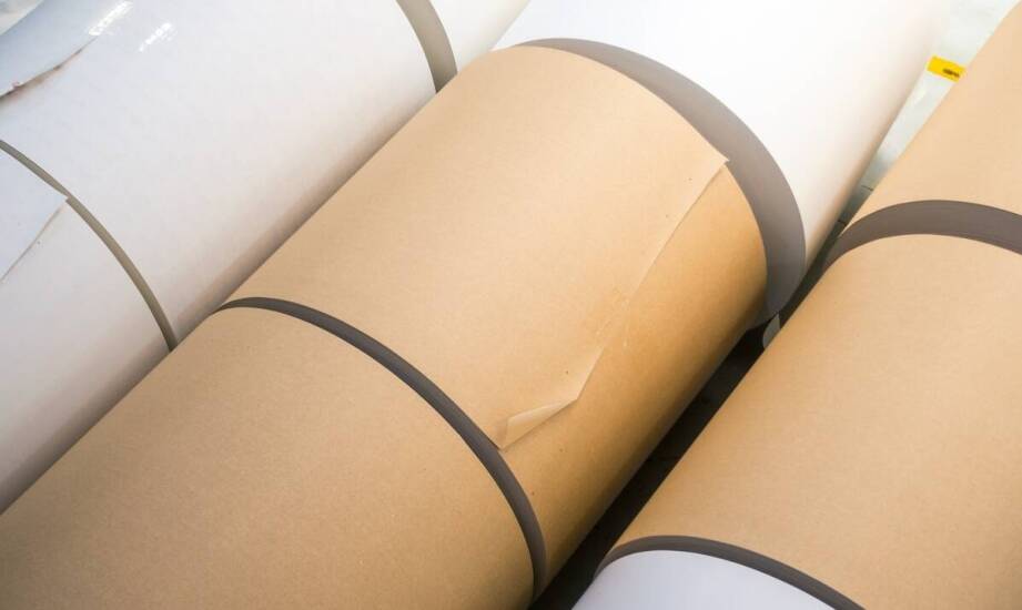 Różnorodność papieru do kasy fiskalnej – co oferuje rynek?