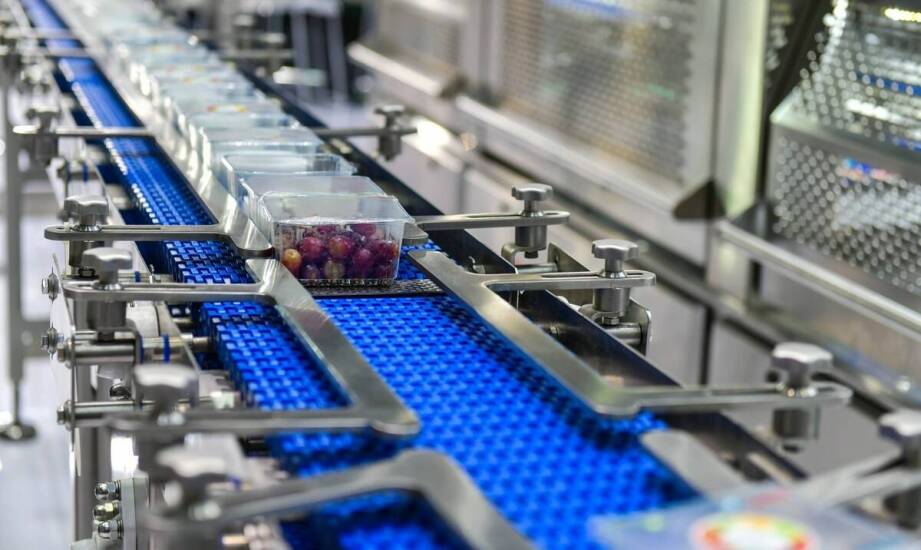 Die wichtigsten Vorteile der Verwendung von Gummigurten für Förderbänder in der Lebensmittelindustrie