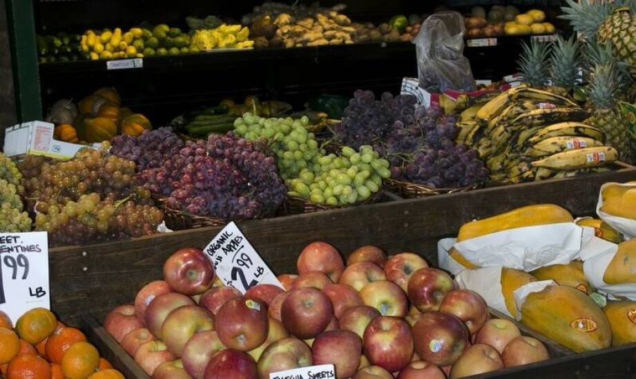 Odkryj różnorodność smaków: nasze najnowsze produkty sezonowe