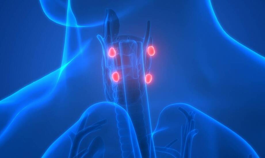 Hormonalne aspekty związane z obecnością torbieli kieszonki Rathkego