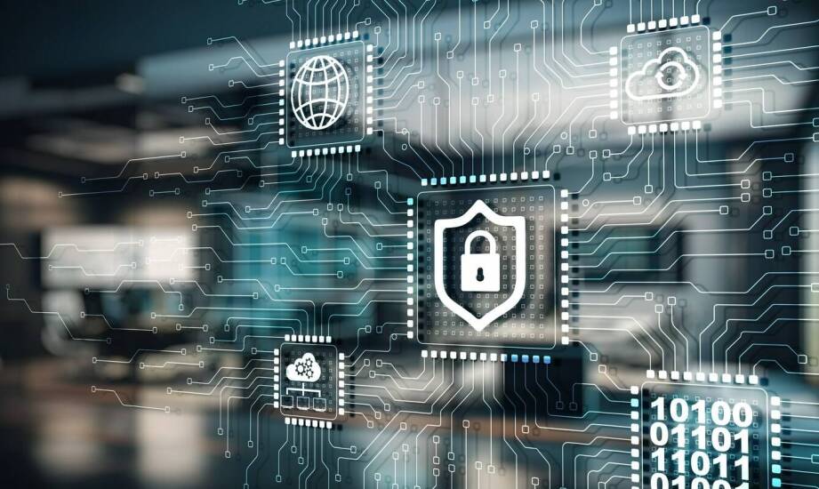 Projektowanie sieci LAN dla małych przedsiębiorstw – na co zwrócić uwagę?