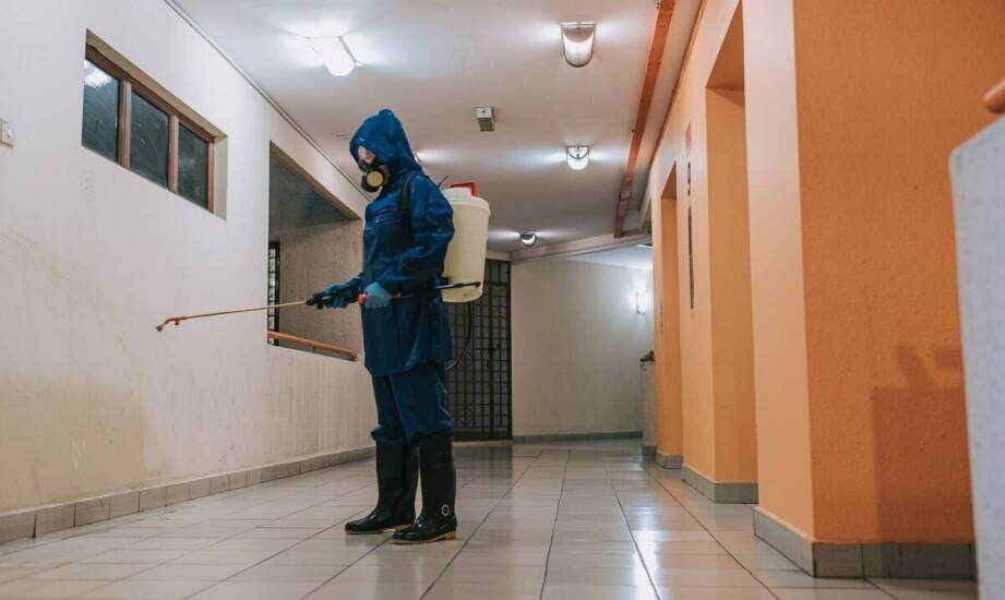 Pluskwy jako zagrożenie dla hoteli i obiektów noclegowych