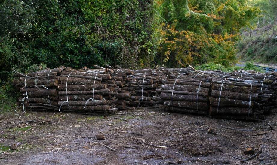 Zastosowanie technologii recyklingu w produkcji ekologicznych palików ogrodzeniowych