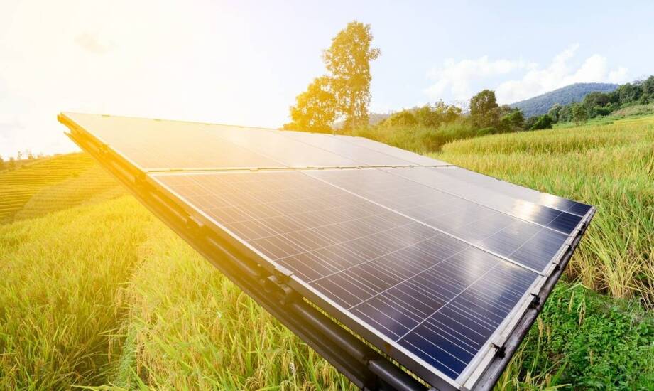 Fotowoltaika a lokalne inicjatywy ekologiczne – jak Rzeszów promuje energię odnawialną?