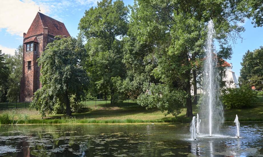Jak dopasować fontannę do stawu?