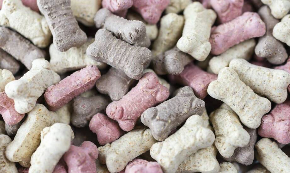 Dlaczego warto wybierać batoniki dla kotów od renomowanego producenta?