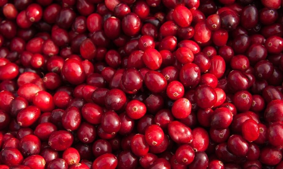 Żurawina błotna jako naturalny konserwant w produktach spożywczych