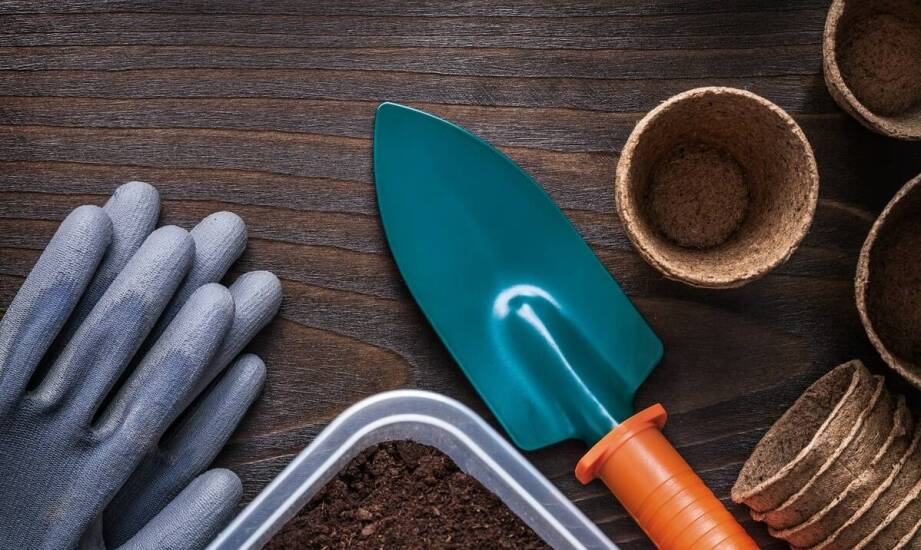 Biogenetic a jakość nasion marihuany: co warto wiedzieć?