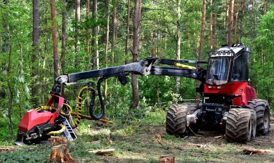 Dlaczego warto inwestować w wysokiej jakości chwytak do drewna?