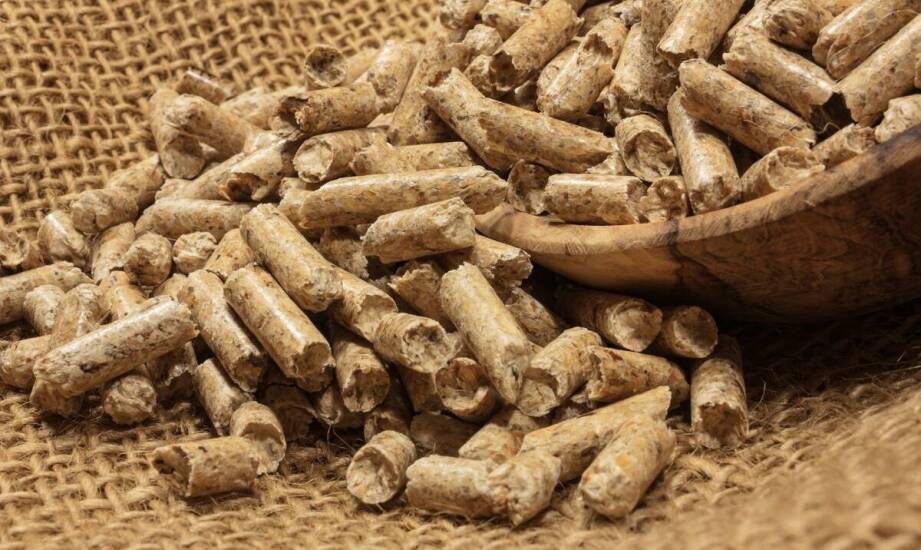 Wpływ wykorzystania odpadów drzewnych na produkcję Pellet
