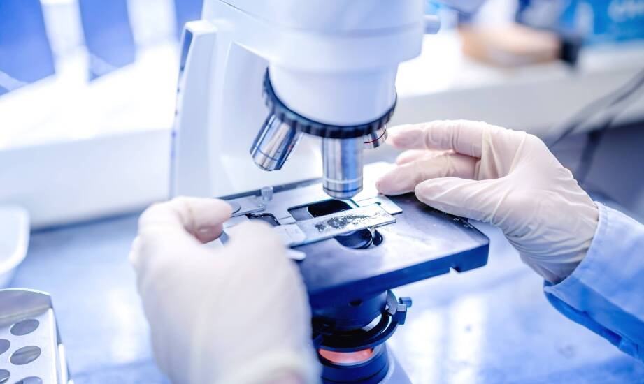 Ergonomia i funkcjonalność nowoczesnych pudełek na szkiełka mikroskopowe