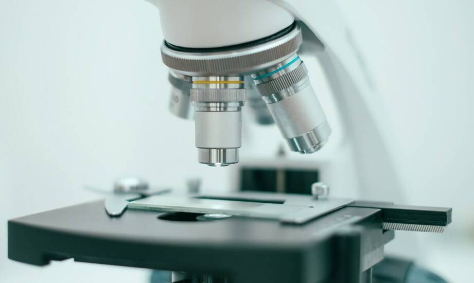 Szkiełka mikroskopowe: nieodłączny element wyposażenia każdego laboratorium