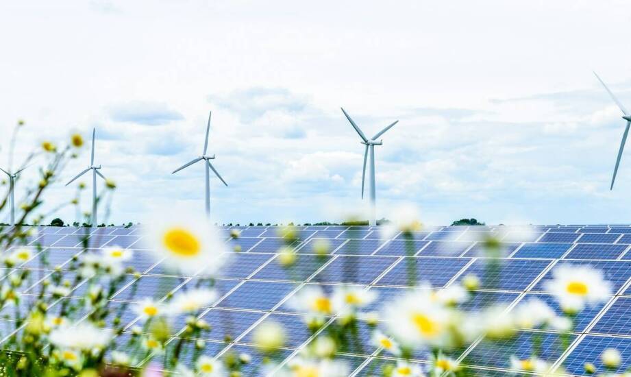Wpływ białych certyfikatów na zrównoważony rozwój energetyczny regionu śląskiego