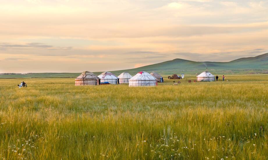 Jurty mongolskie a przestrzeń do medytacji: jak wpływają na relaksację?