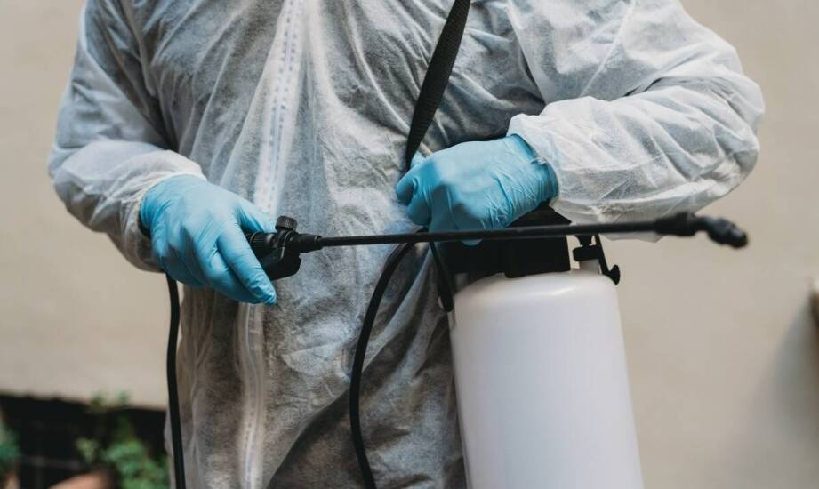 Prewencja przed powrotem szkodników: usługi zapobiegawcze w dezynfekcji i deratyzacji